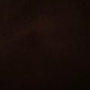 sarah_saunders